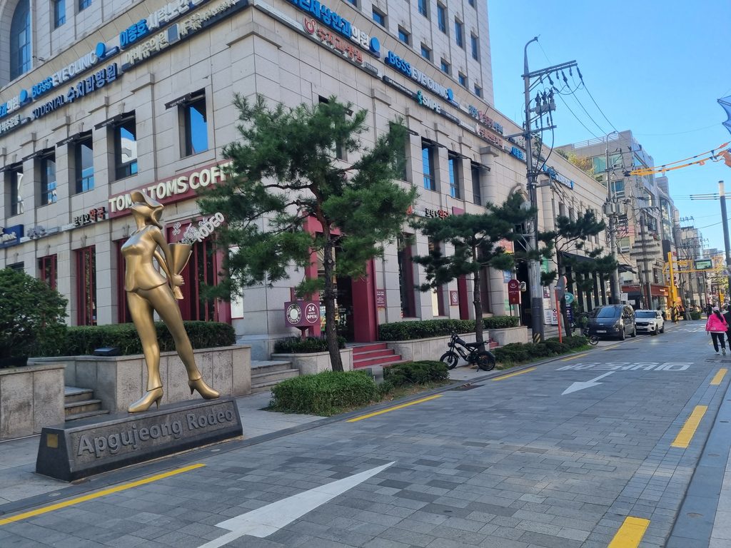 Visiting a skin clinic in Apgujeong Seoul