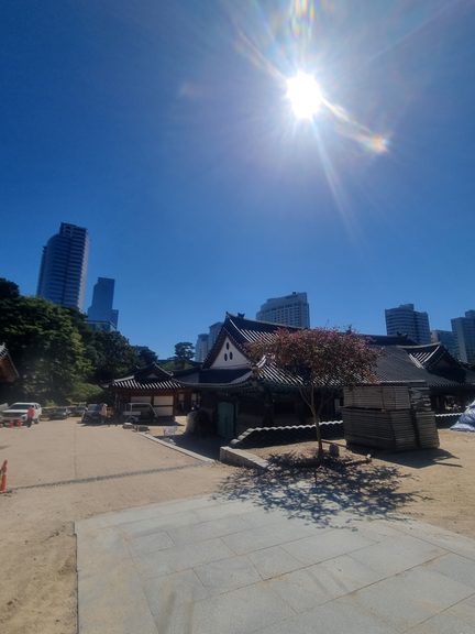 A view of Bongeunsa Temple's traditional Korean rooftops surrounded by trees, with modern high-rise buildings in the background. This contrast between historic architecture and contemporary city life captures one of the distinctive sights to see in Gangnam, Seoul.